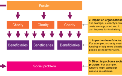 Big Donors e Theory of Change: un rapporto ancora debole